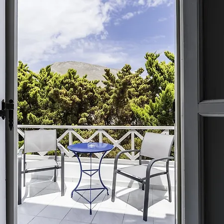 Kalamia Dolphins 佩里萨